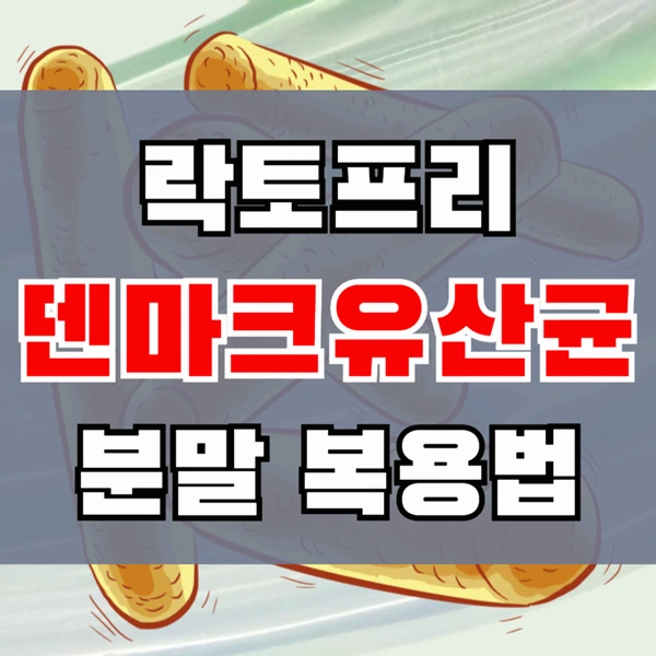 락토프리 덴마크 유산균 효능