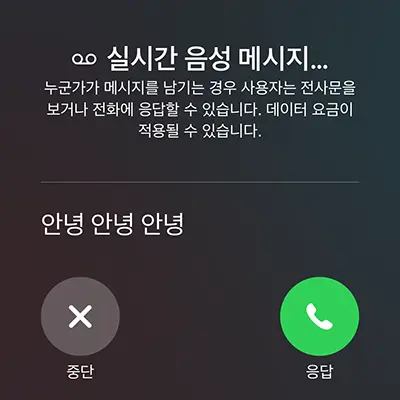 실시간 음성메시지는 음성사서함에 녹음하고 있는 내용이 화면에 글자로 표시된다.