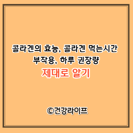 콜라겐의 효능, 콜라겐 먹는시간, 부작용, 하루 권장량
