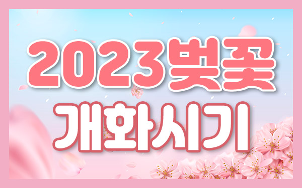 벚꽃