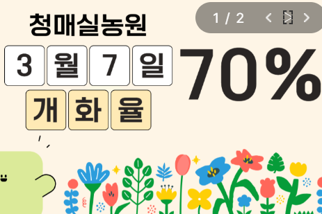 광양매화축제