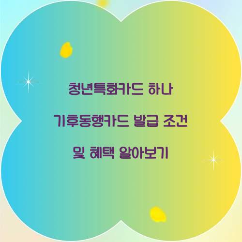 청년특화카드 하나 기후동행카드