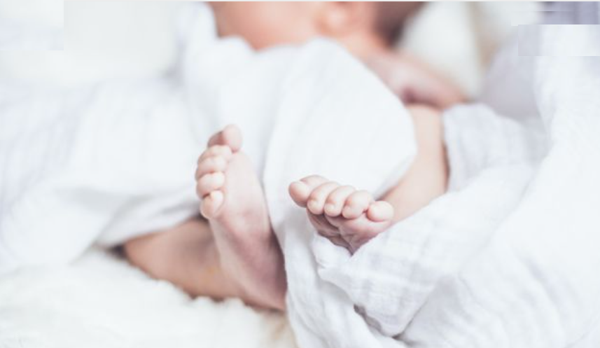 고위험-신생아-간호