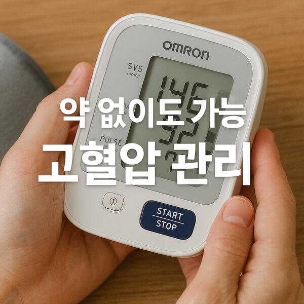 약 없이도 가능한 고혈압 관리/gpt