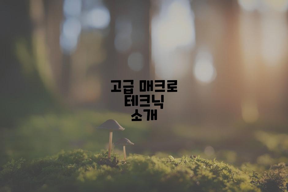 고급 매크로 테크닉 소개