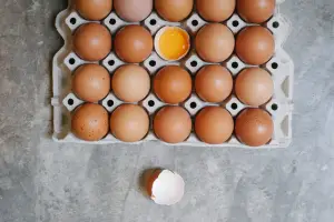 삶은계란 칼로리 효능 다이어트 