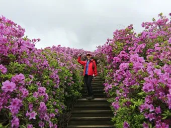 남원 봉화산 철쭉 산행 주차장 등산코스_8