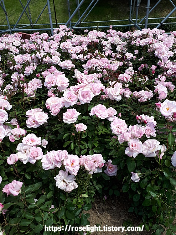 면접후기_장애인복지회관면접후기_면접자기소개예시