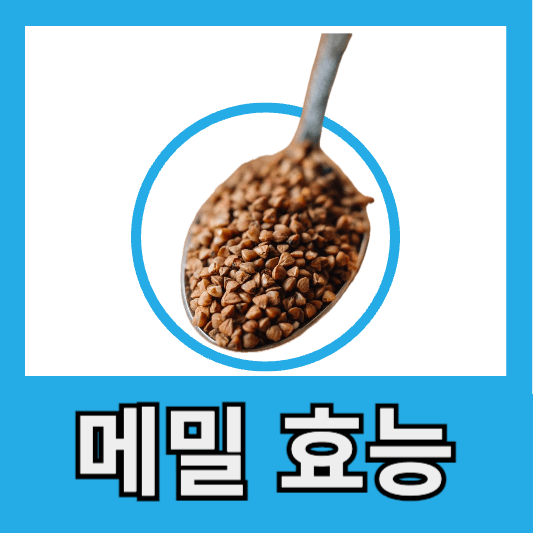 메밀 효능