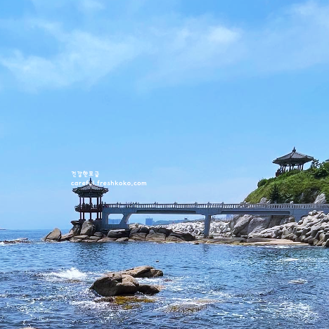 속초 가볼만한곳