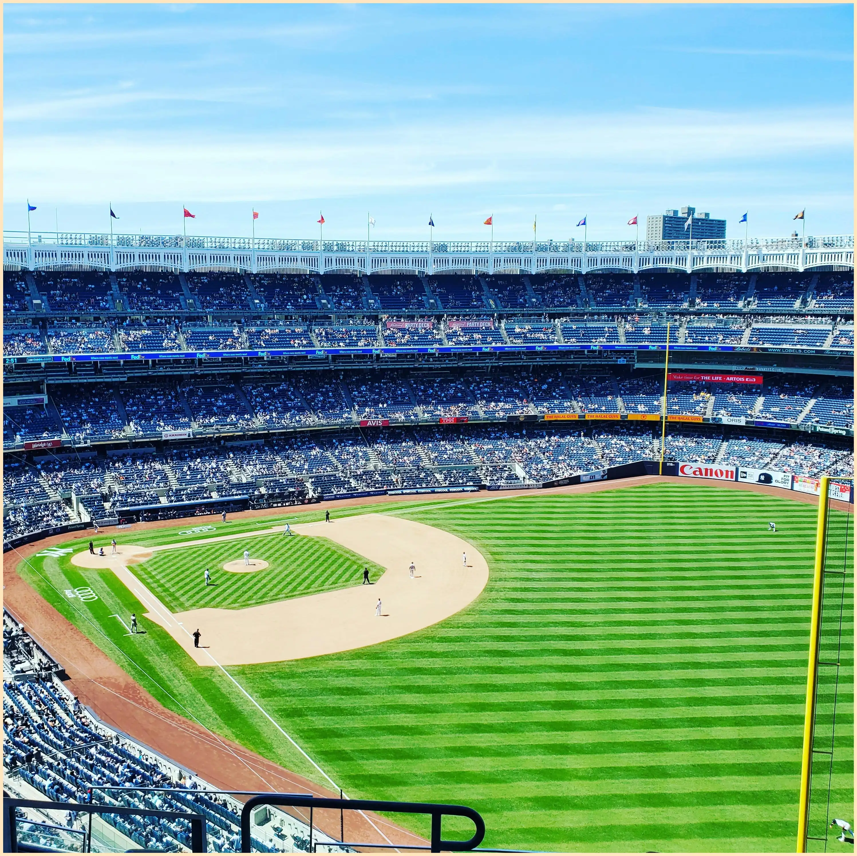 야구 프리미어12 명단