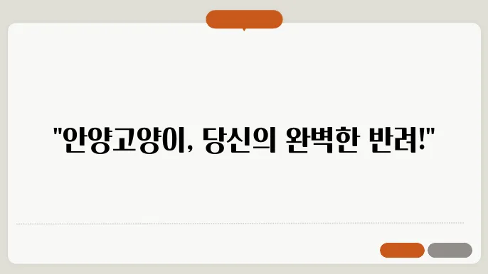 고양이와의 생활에서 필요한 팁