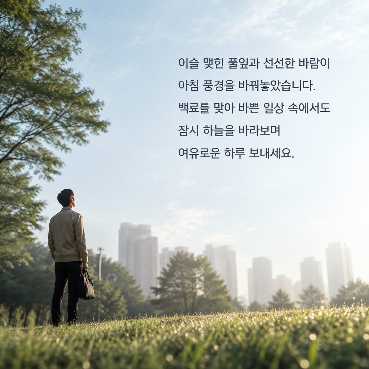 이슬 맺힌 풀잎과 선선한 바람 속 여유를 전하는 백로 인사말 이미지