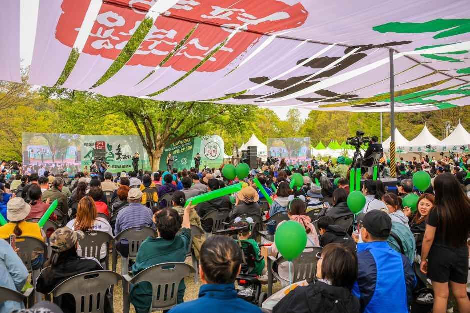 양평 용문산 산나물축제 2026 완벽 가이드