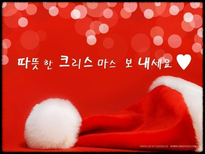  [2024 크리스마스] 가족과 평생 잊지 못할 추억 만들기!