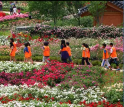 곡성세계장미축제 섬진강 기차마을