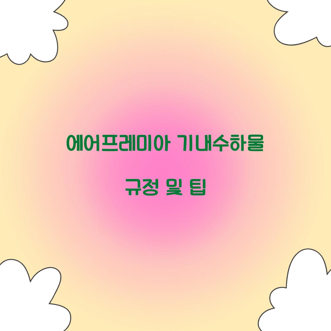 에어프레미아 기내수하물