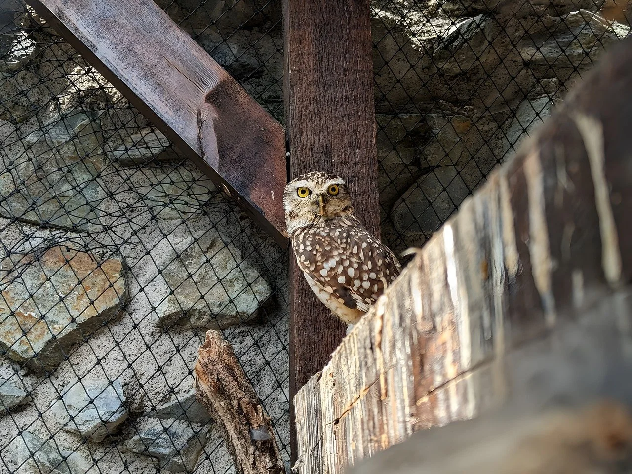 전세 보증보험 신청 방법