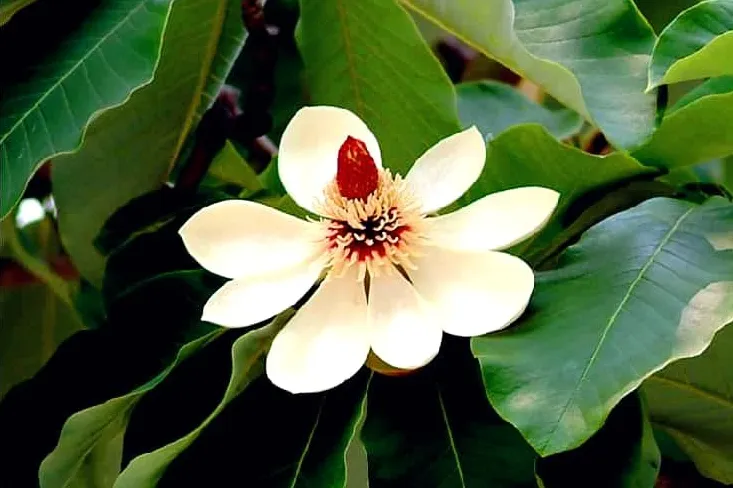 지리산 칠선계곡
