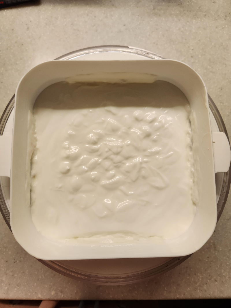 그릭요거트메이커 베어그릭스