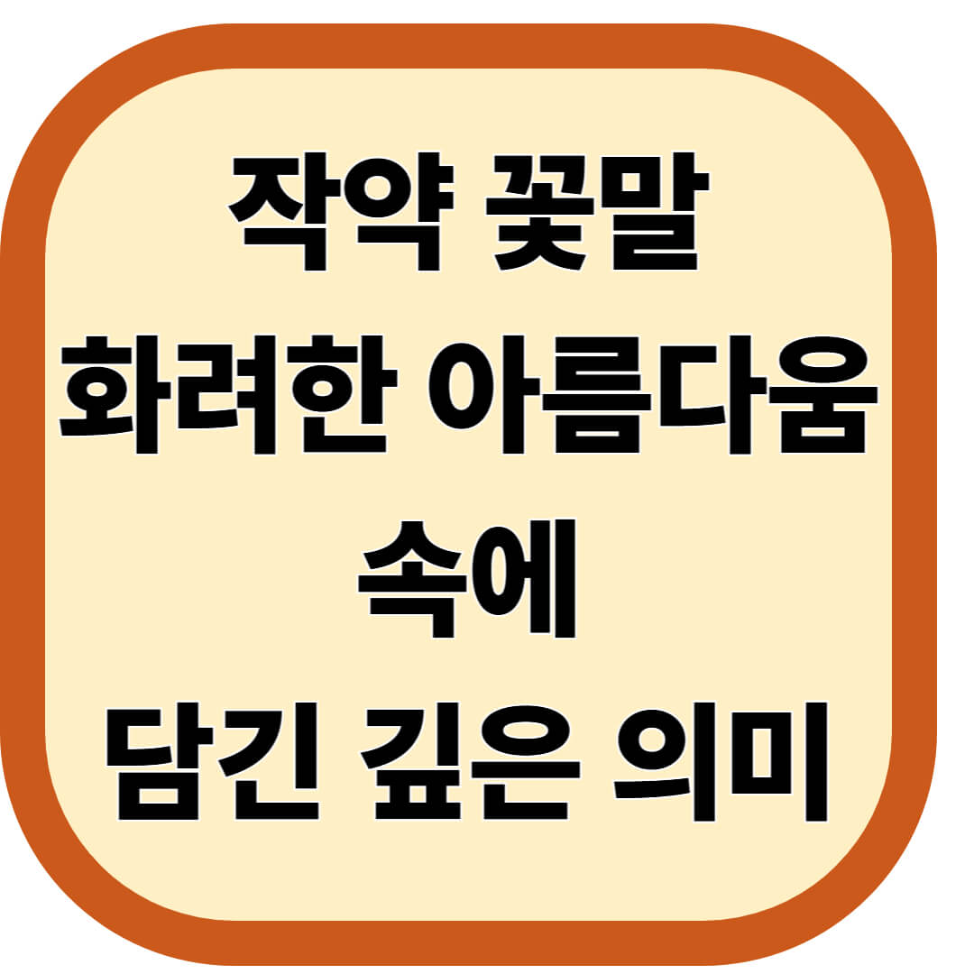 작약 꽃말