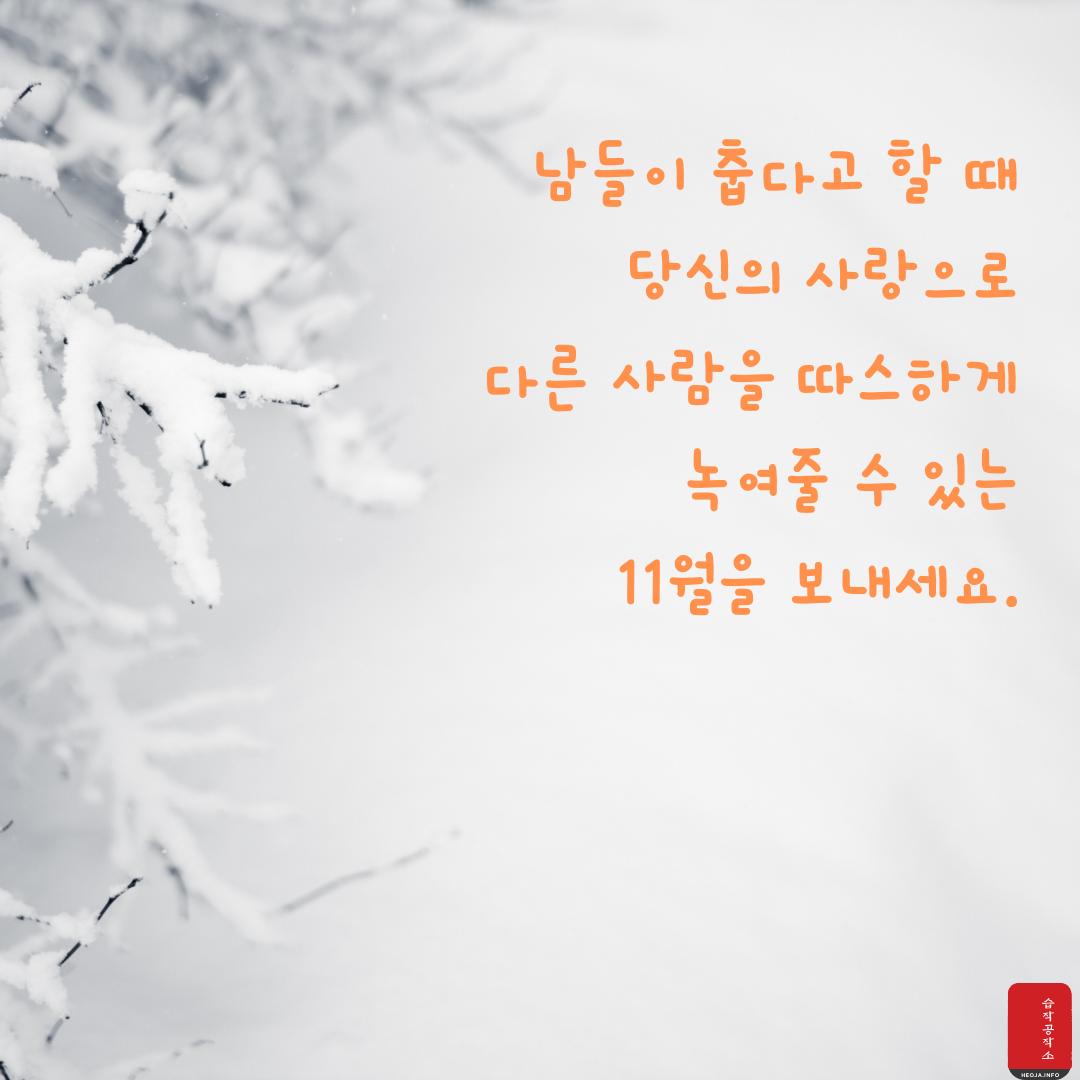11월 인사말 문구 이미지 모음집
