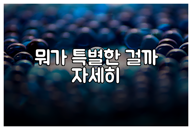 뭐가 특별한 걸까 자세히