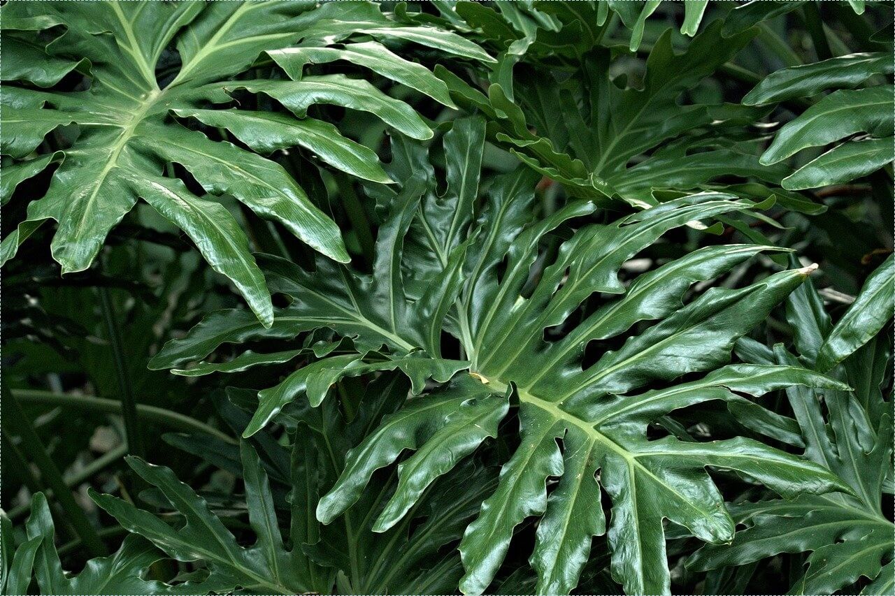 프랜차이즈 창업