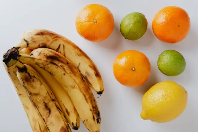 신장질환과 식단관리 식사요법가이드_ 신증후군, 만성신부전,혈액투석,복막투석