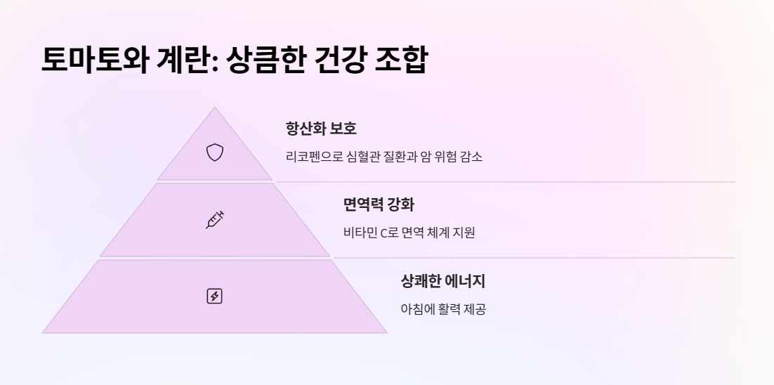 토마토와 계란: 상큼한 건강 조합