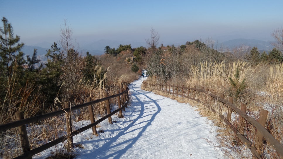 100대 명산 등산하기 열번째 지리산 바래봉(1,165m) 철쭉으로 전국적으로 유명하며, 지리산 북부 능선의 아름다움을 가장 가까이서 볼 수 있는 명소
