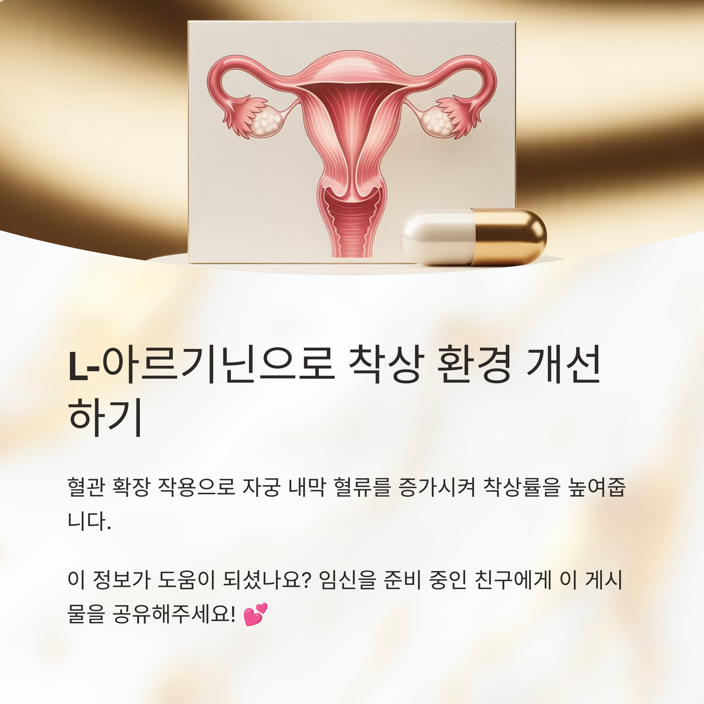 여성 생식계의 일러스트와 함께 두 개의 캡슐이 놓여 있다.