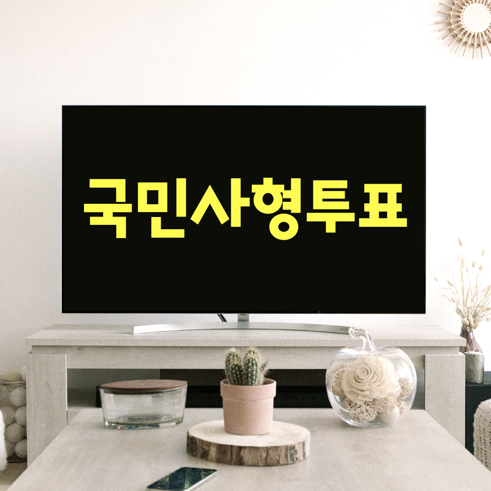 국민사형투표