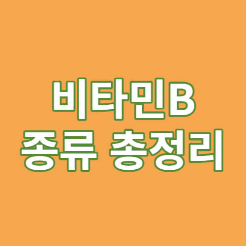 비타민 B 종류 총정리