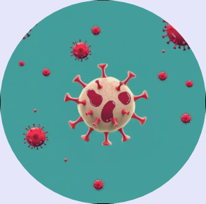 Mpox 증상,
Mpox 치료,
Mpox 예방,
Mpox 바이러스 전파 경로,
Monkeypox 백신,
Orthopoxvirus 정보,
Mpox 격리 지침,
Mpox 항바이러스제,
Mpox 감염 리스크,
Mpox 최신 연구 동향,