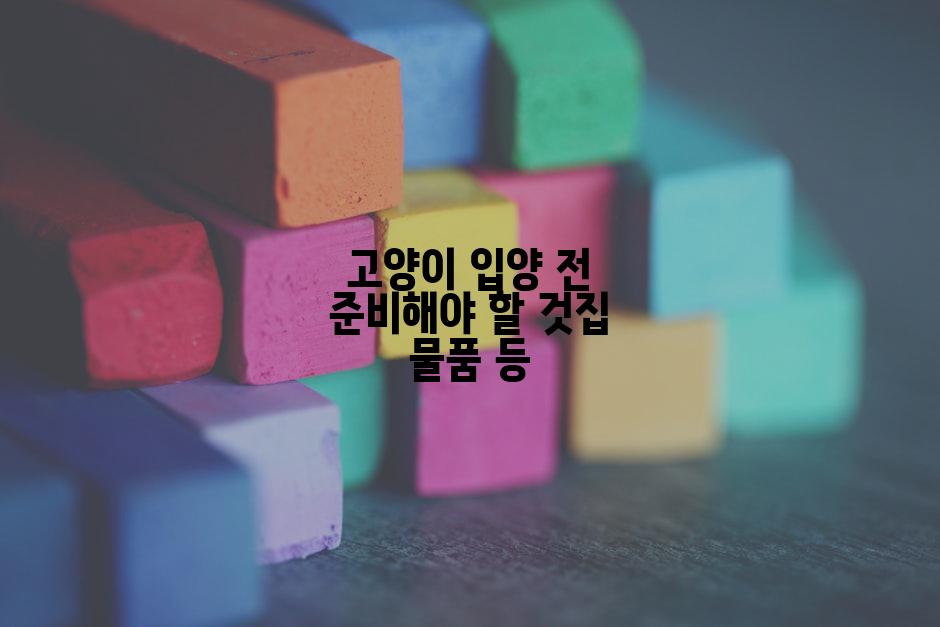 고양이 입양 전 준비해야 할 것집 물품 등