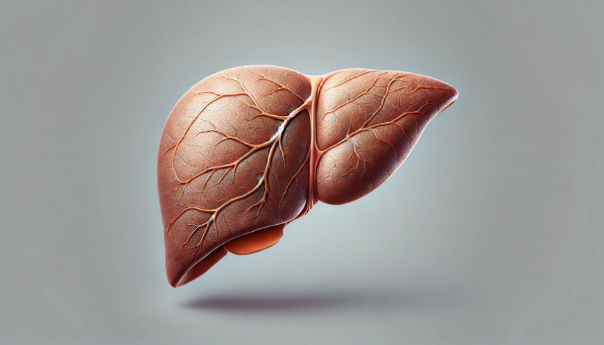 간의 생김새를 표현한 그림