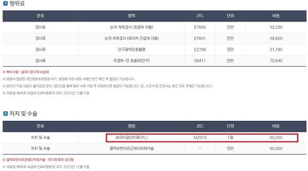 IPL 레이저 치료 비용 사진