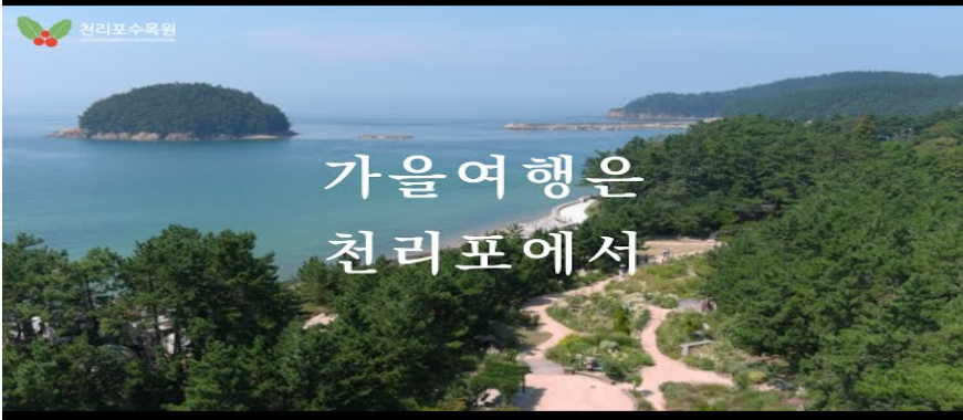 천리포수목원 가을축제