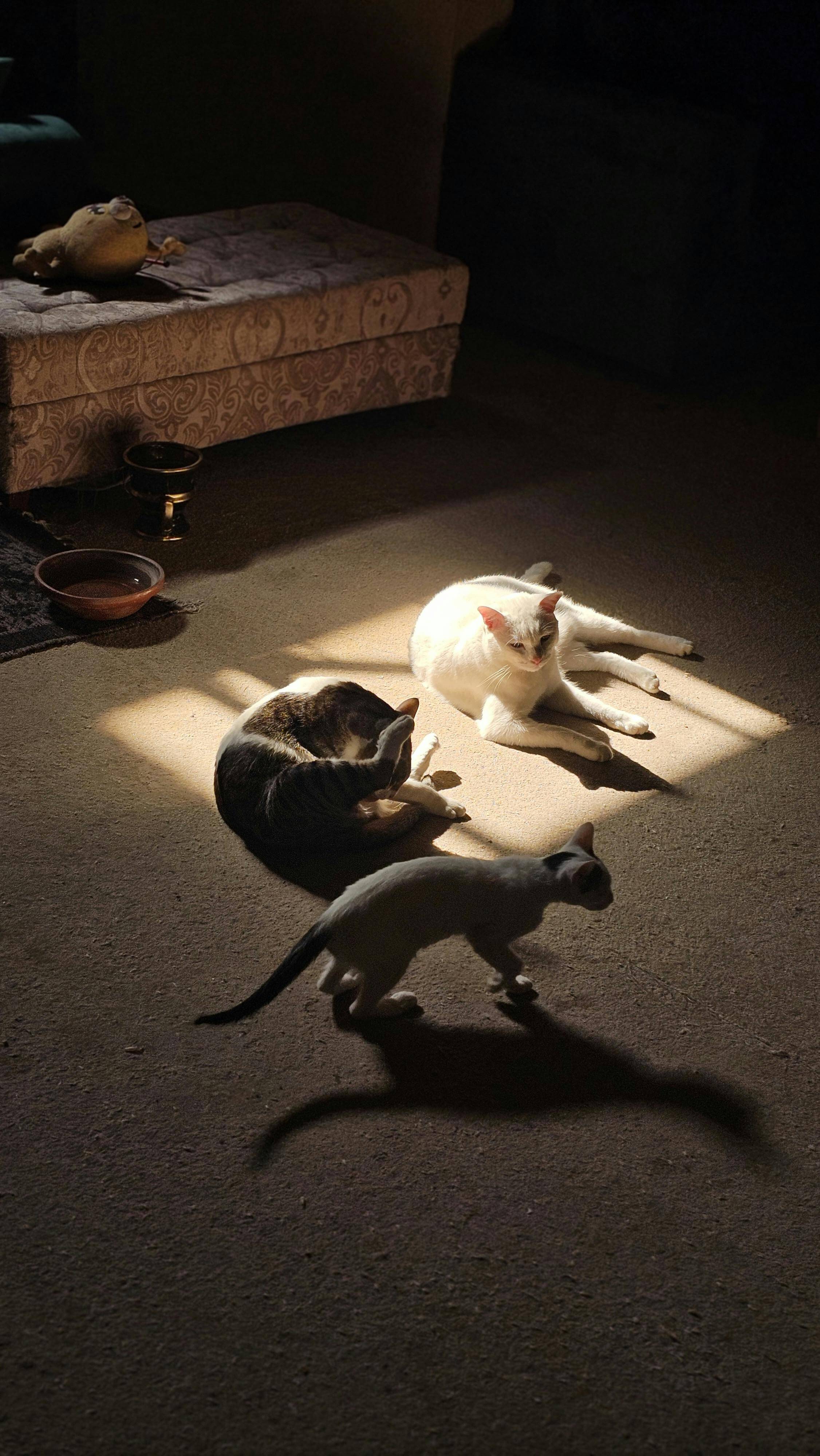 보험 청구 거절되는 5가지 실제 이유┃이것 모르면 돈 새나갑니다