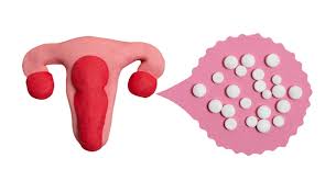 생리하는 꿈해몽