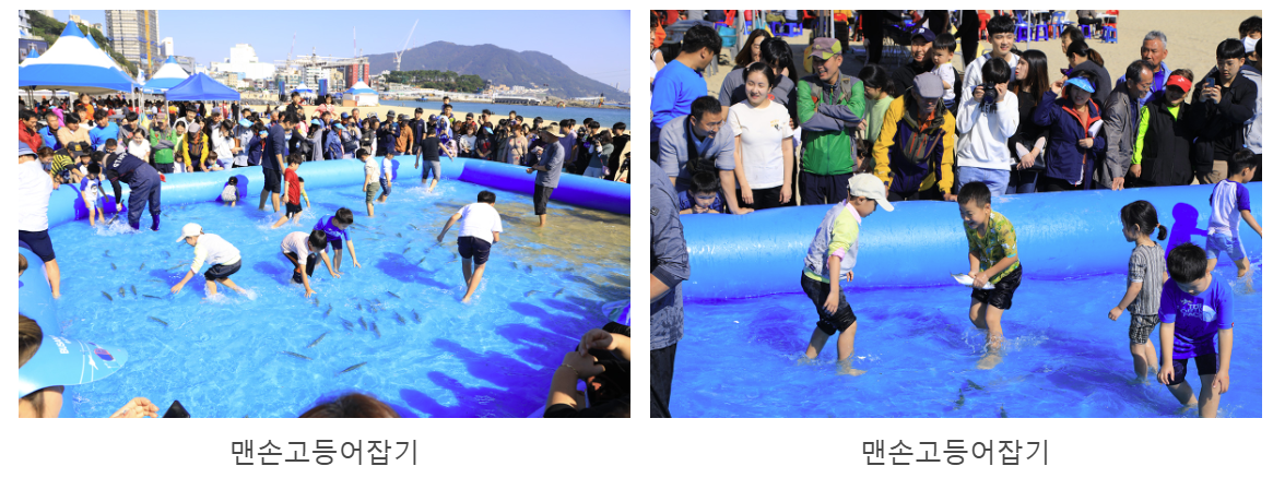 2024 부산 고등어축제 갤러리