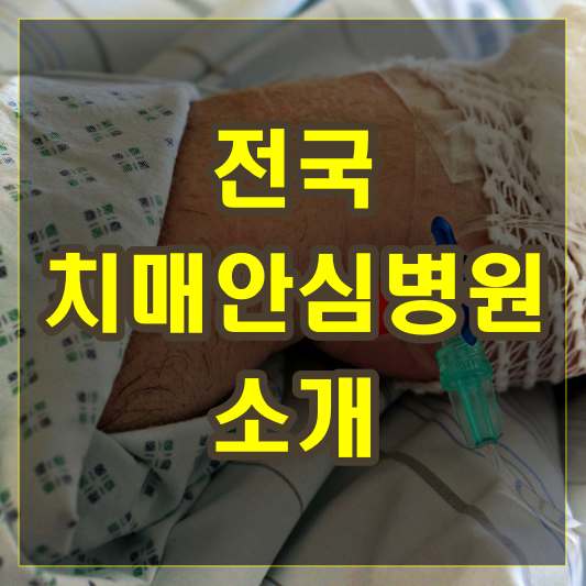 전국 치매안심병원 소개