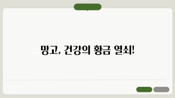 망고의 놀라운 효능 : 황금빛 미덕 공개