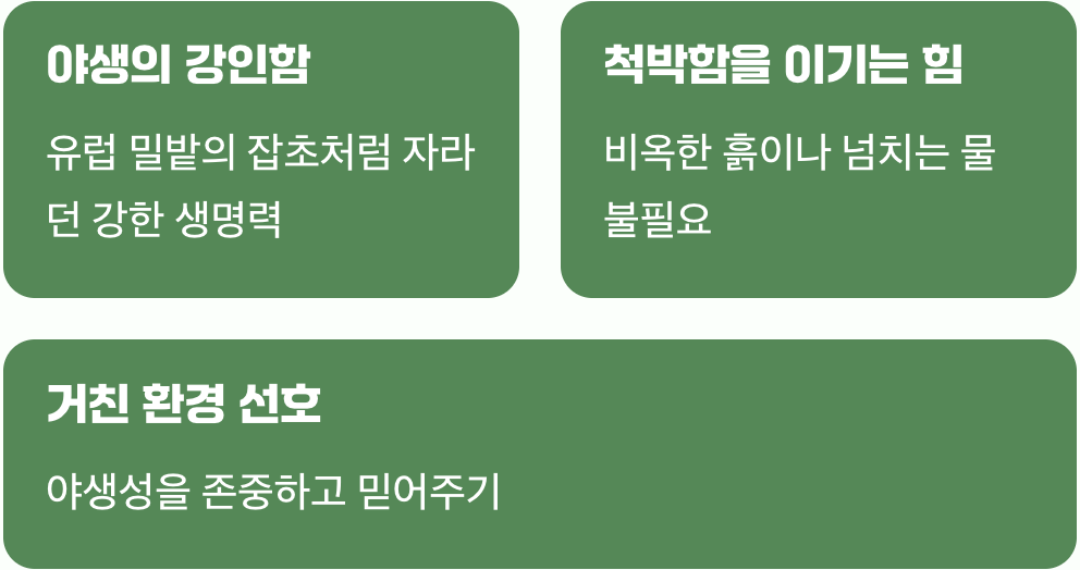 들판의 푸른 보석, 그 본성을 이해하기