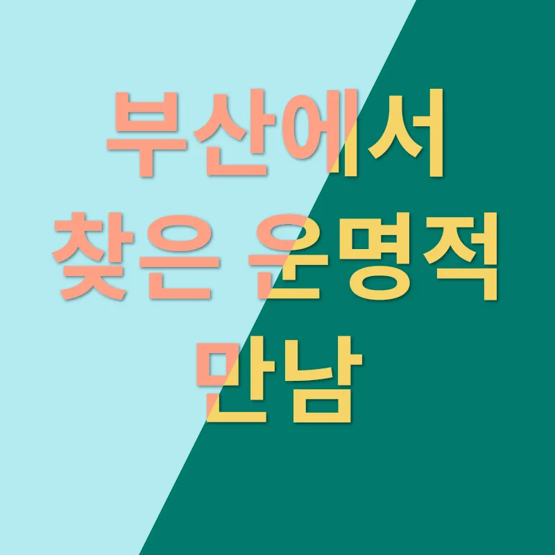 부산도꼬똥드툴레아분양_1