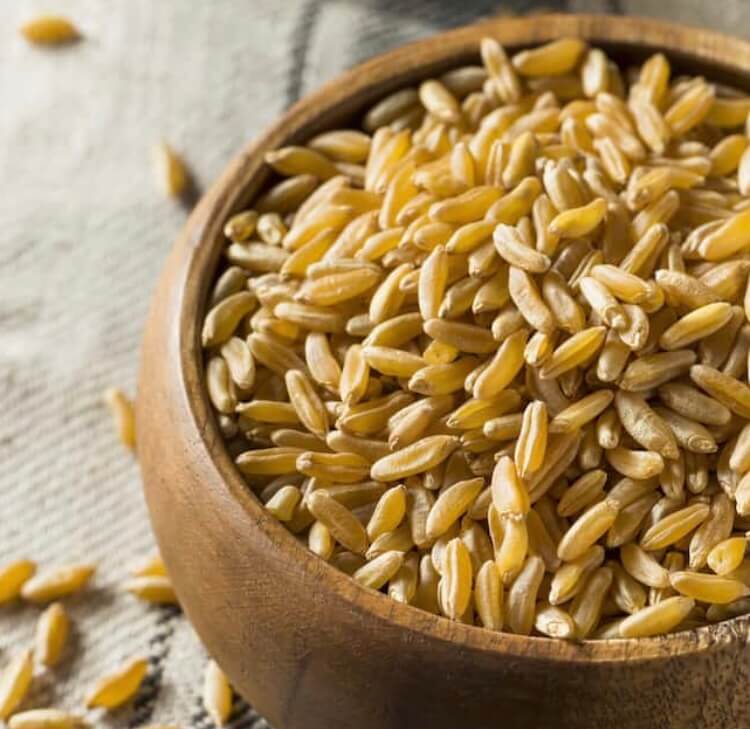 카무트효소가격