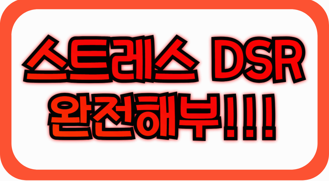 스트레스 DSR 완전해부