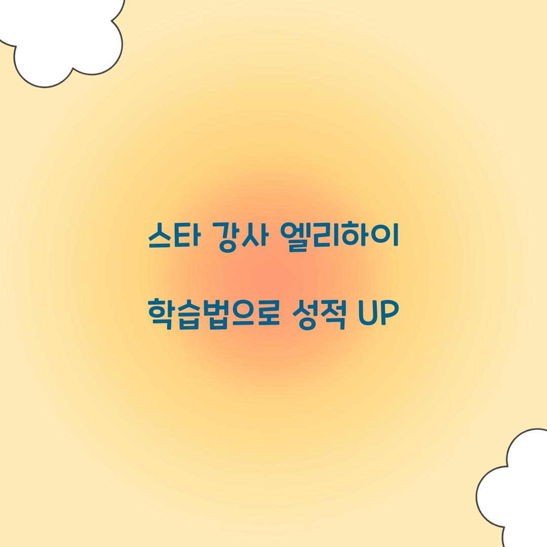 스타 강사 엘리하이 학습법