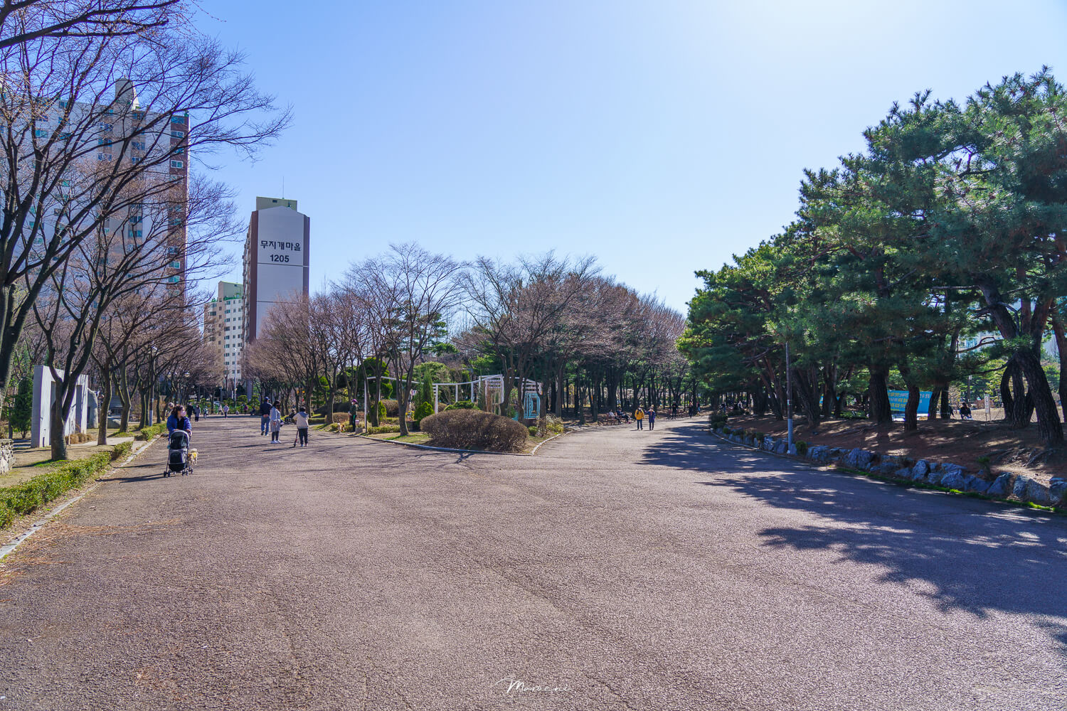 중앙공원 애견운동장
